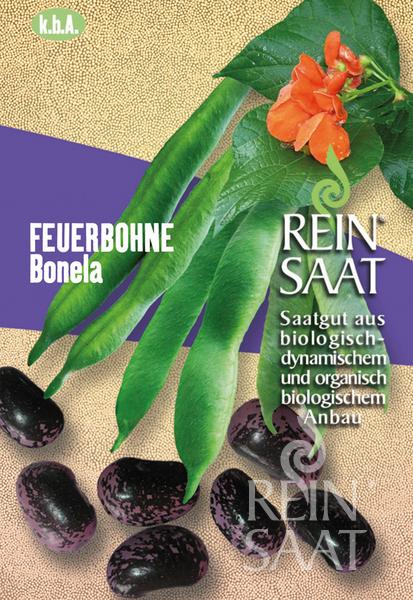 Fire bean organic Bonela fire bean pure seed about 18 seeds