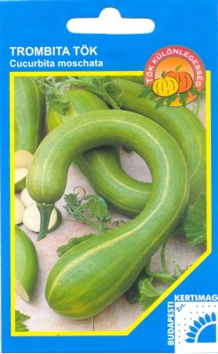 Trombita pumpkin BK 5 seeds