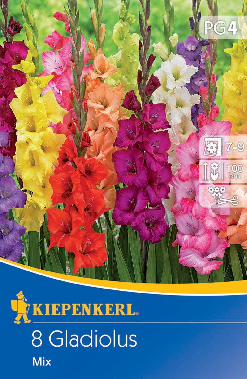 Flower Bulb Swordflower Mix Kiepenkerl 8 pcs