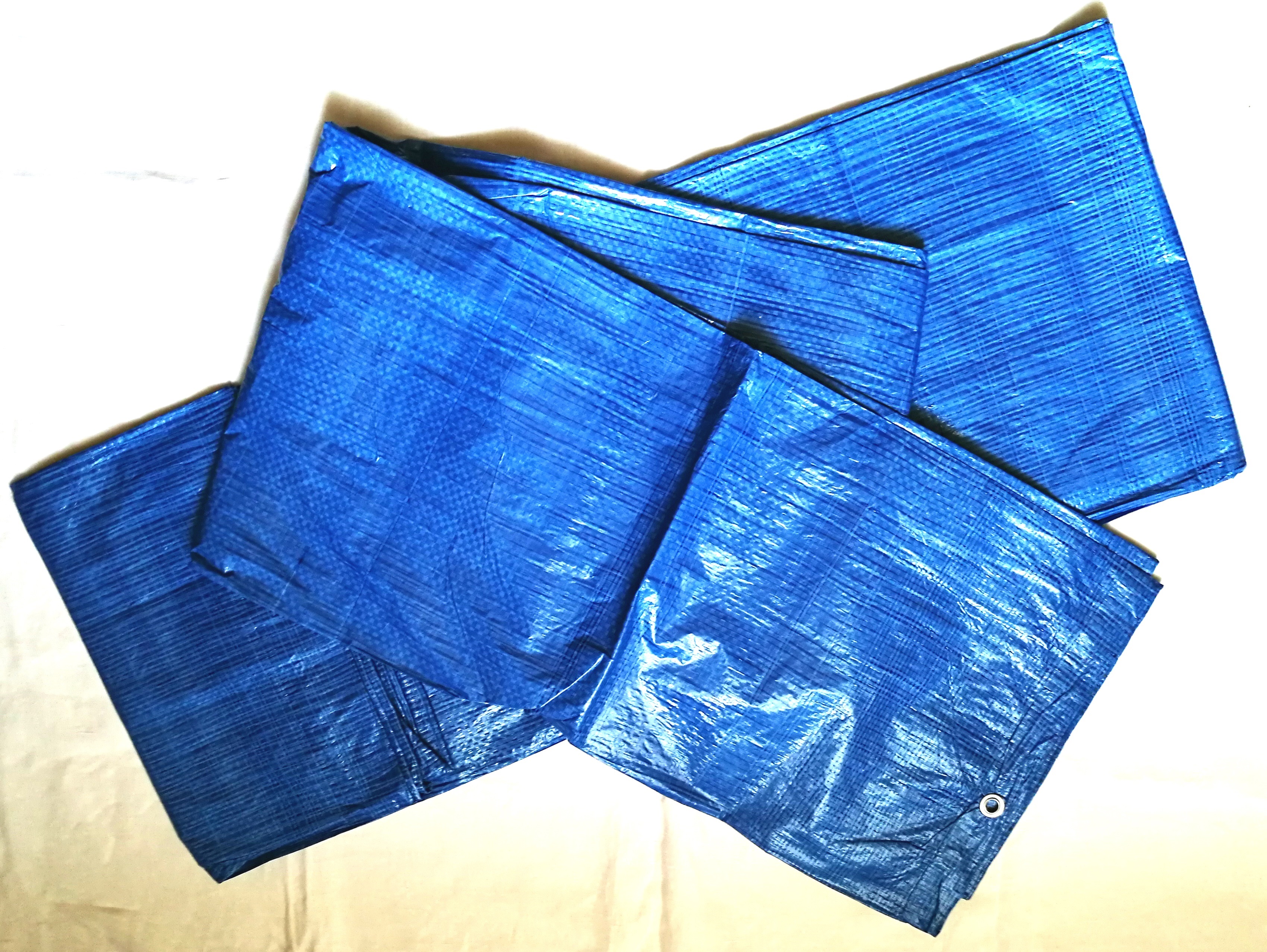 Blanket 50g/m2 6m x 12m (blue)