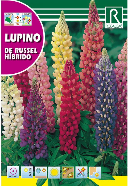 Forest lupine colour mix (Lupino de russel hybrido) 4g Rocalba