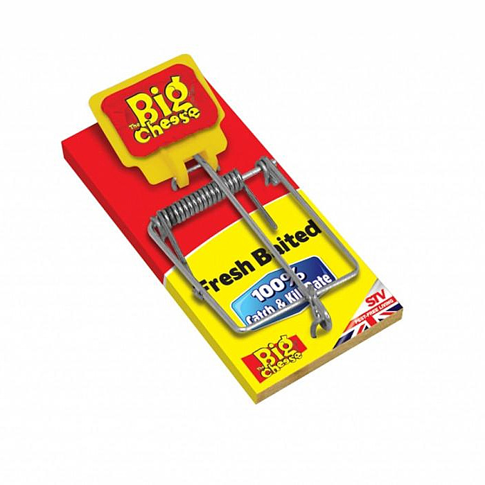 Wooden mouse trap with bait The Big Cheese