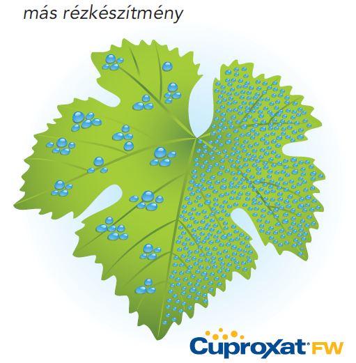 Cuproxate FW 5 l