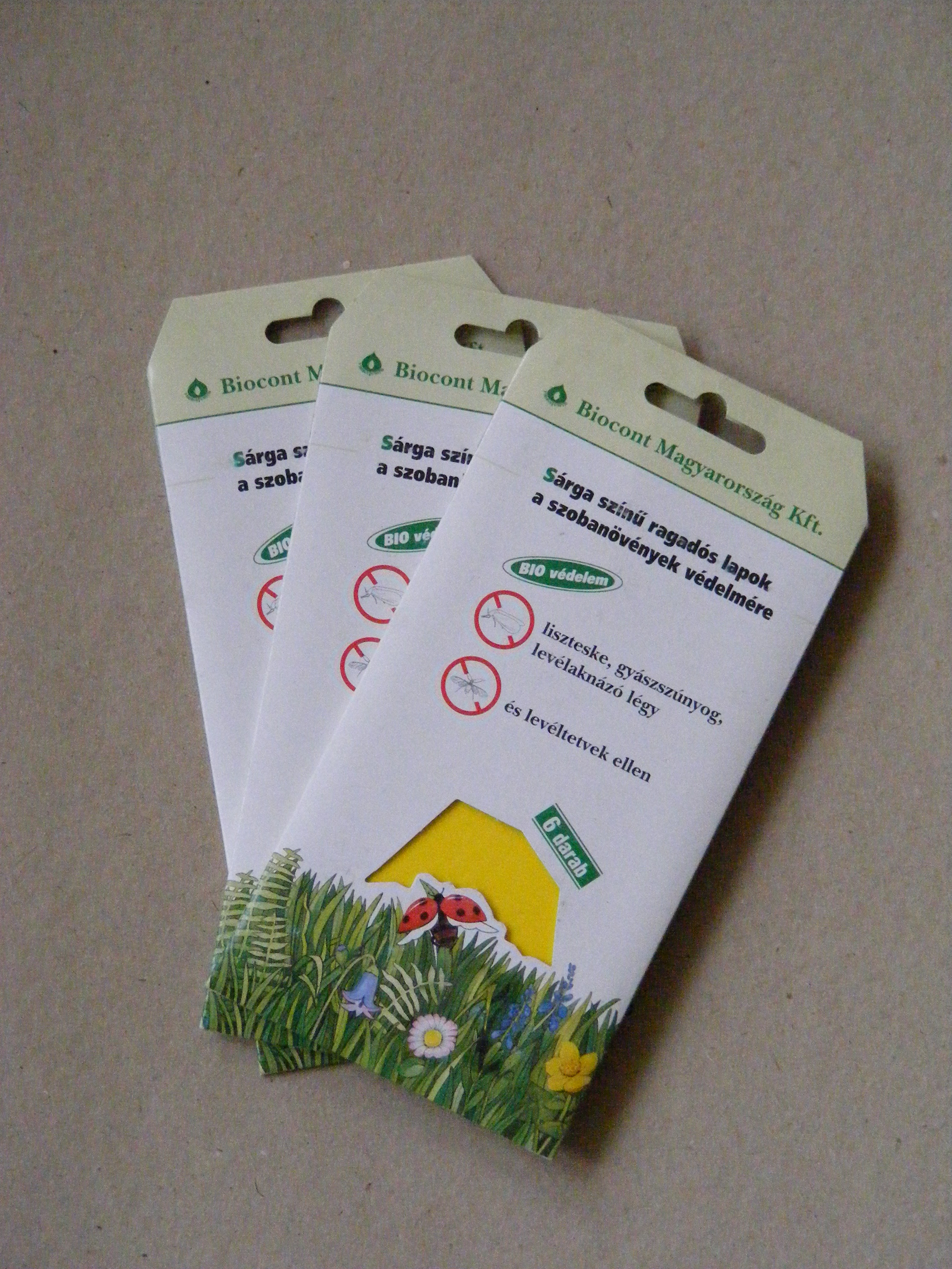 Biocont colour trap for houseplants 6 pcs