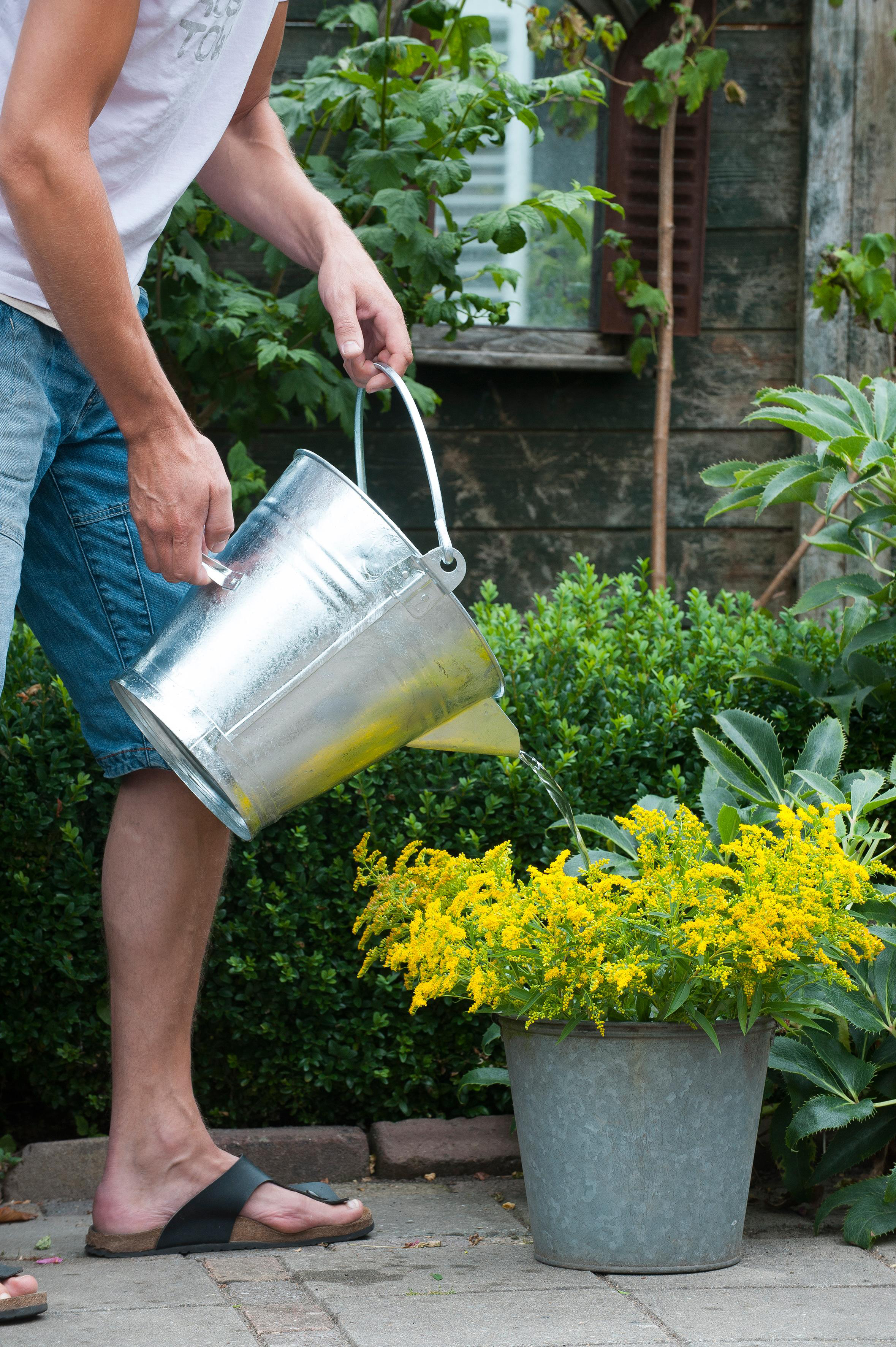 Bucket 11,3l galvanized