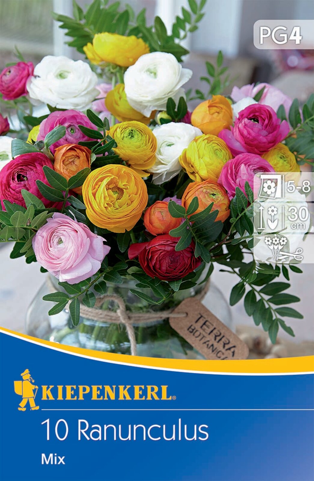 Bulb Buttercup colour mix Kiepenkerl 10 pcs