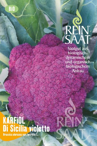 Purple cauliflower organic Di Sicillia violetto Pure Seed about 50 seeds