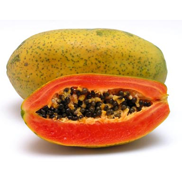 Papaya (Carica Papaya) 5 seeds