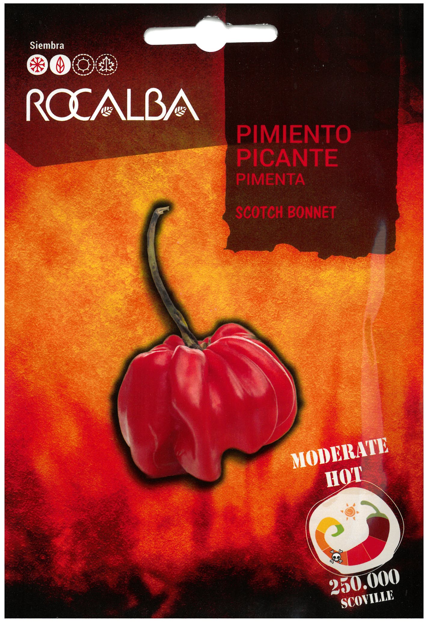 Chili pepper Scotch Bonnet Rocalba 25 grains