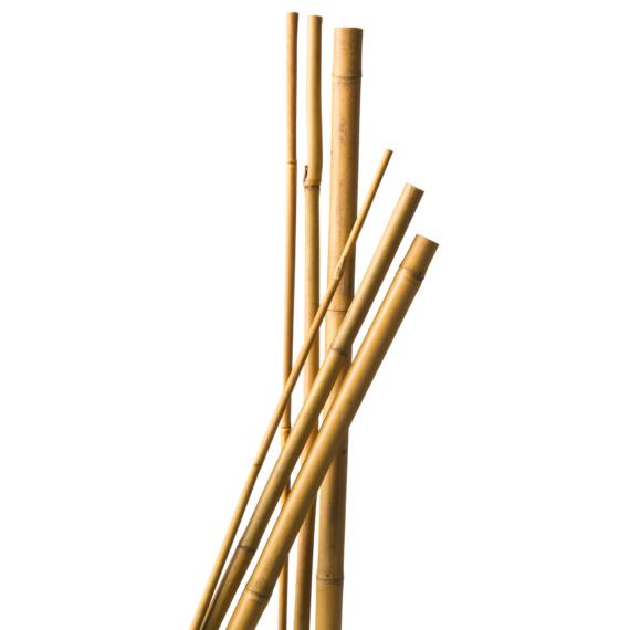 Bambusz növénytámasz 180 cm, 14-16 mm, 3 db/csomag