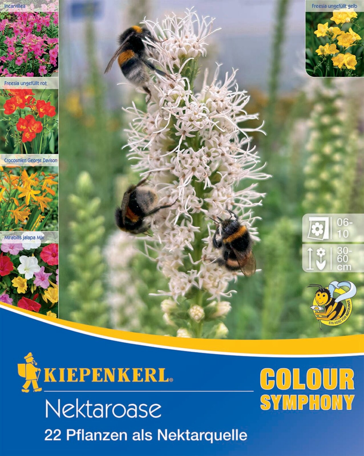 Flower Bulb Nectar Oasis Kiepenkerl 22 pcs