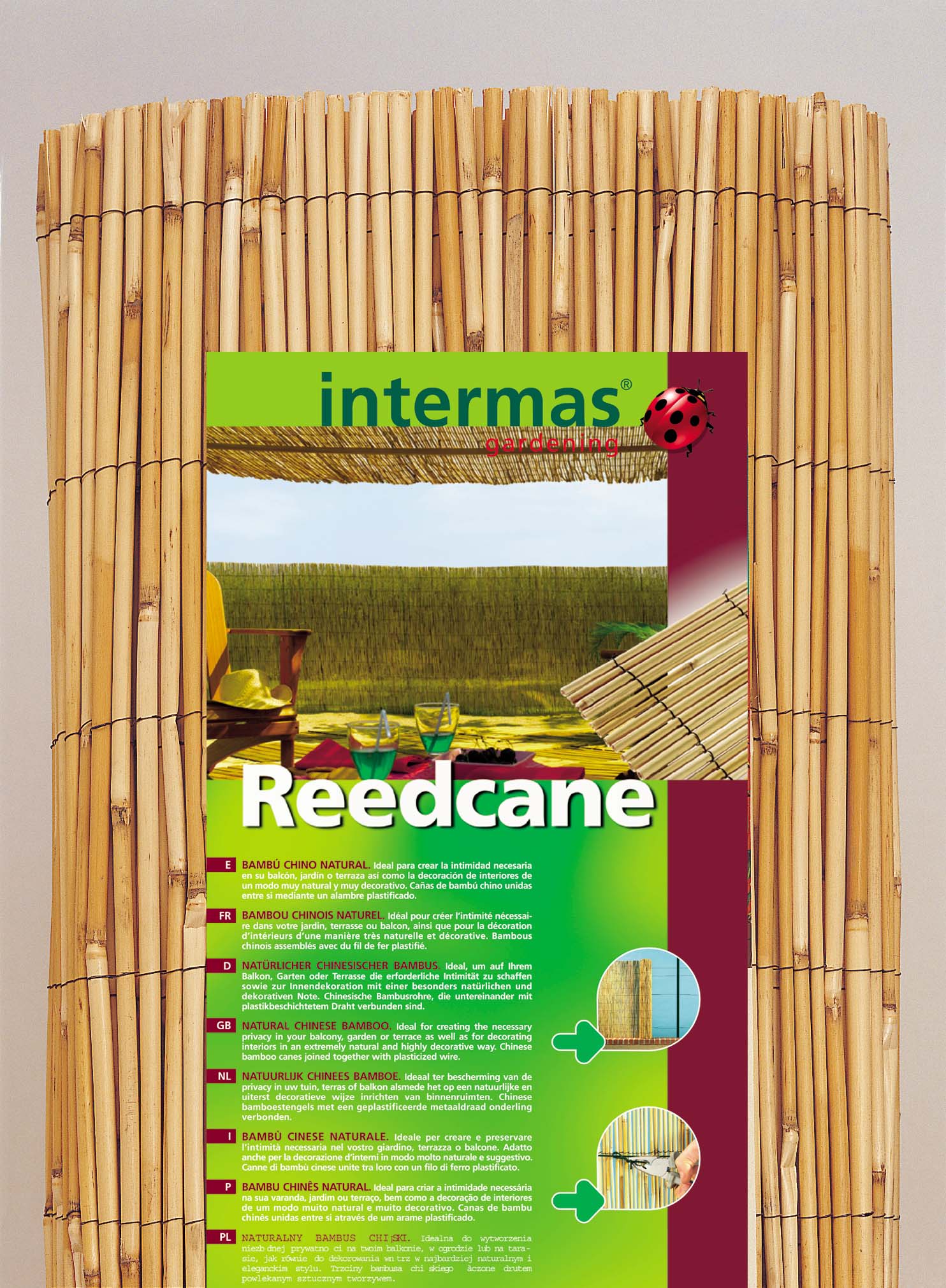 Természetes nád Reedcane 2x5 m