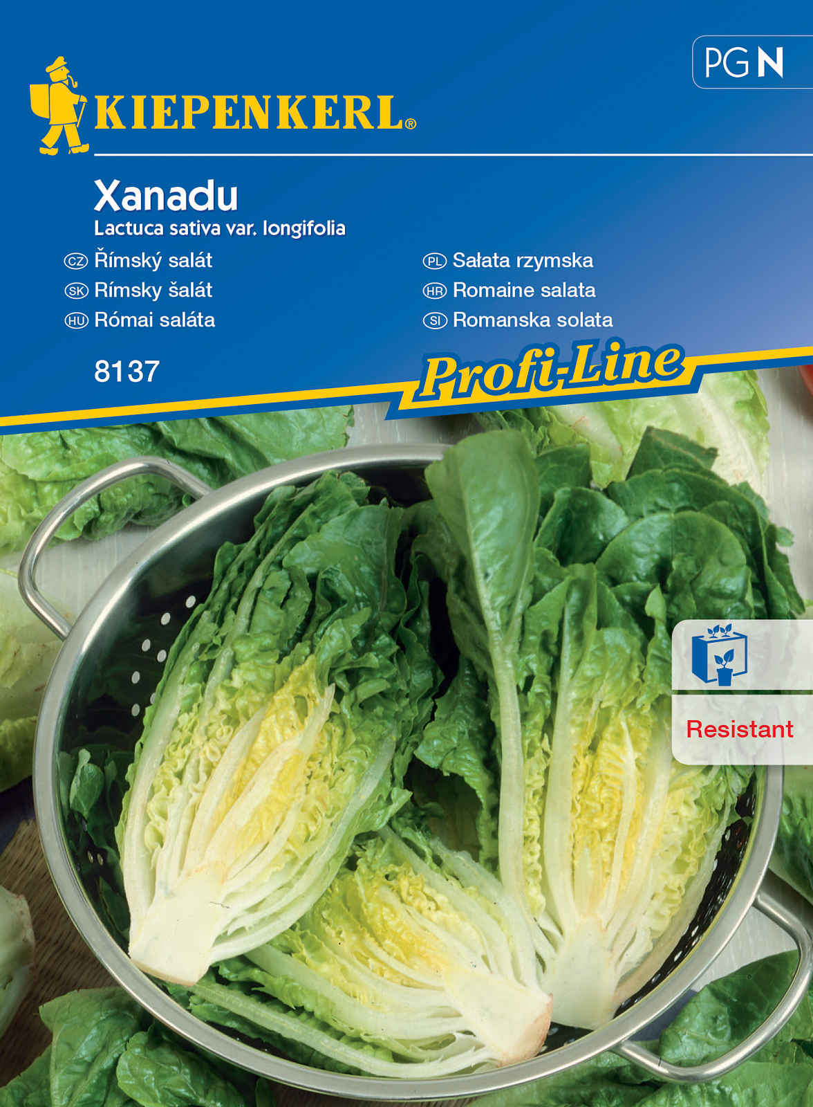 Roman salad Xanadu 80 pieces Kiepenkerl