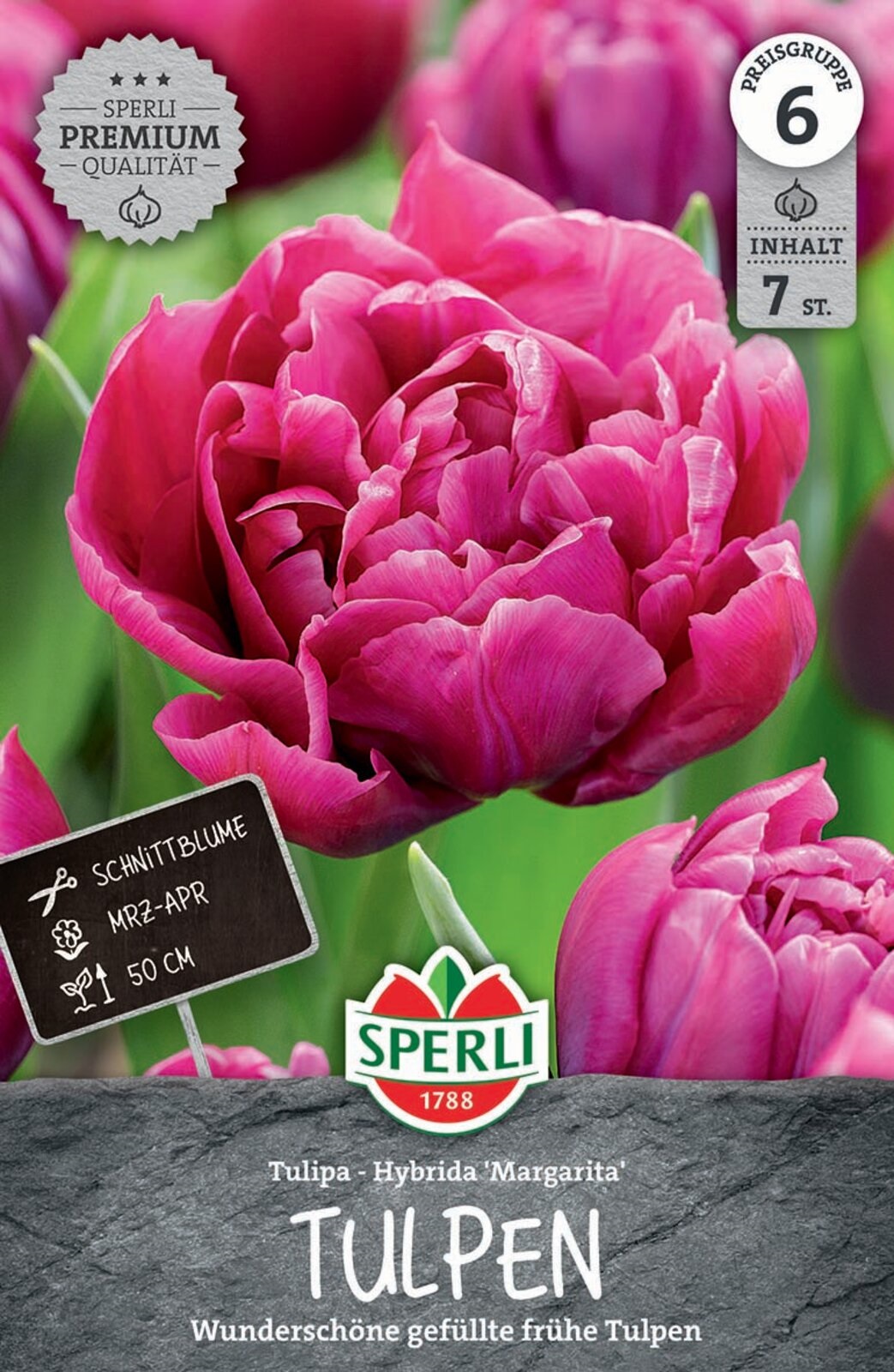 Virághagyma Tulipán teltvirágú Margarita 7 db Sperli