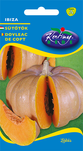 Pumpkin Ibiza 10 seeds