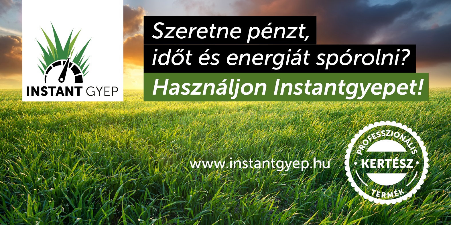 Instant lawn 10l