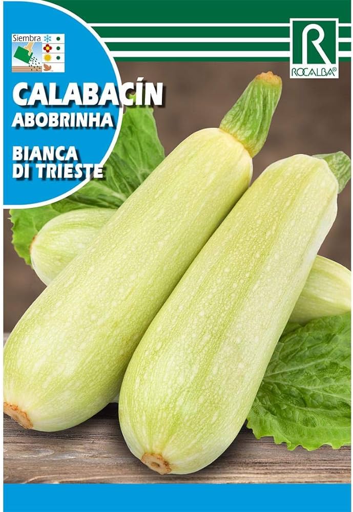 Cukkini Bianca di Trieste Rocalba 8 g