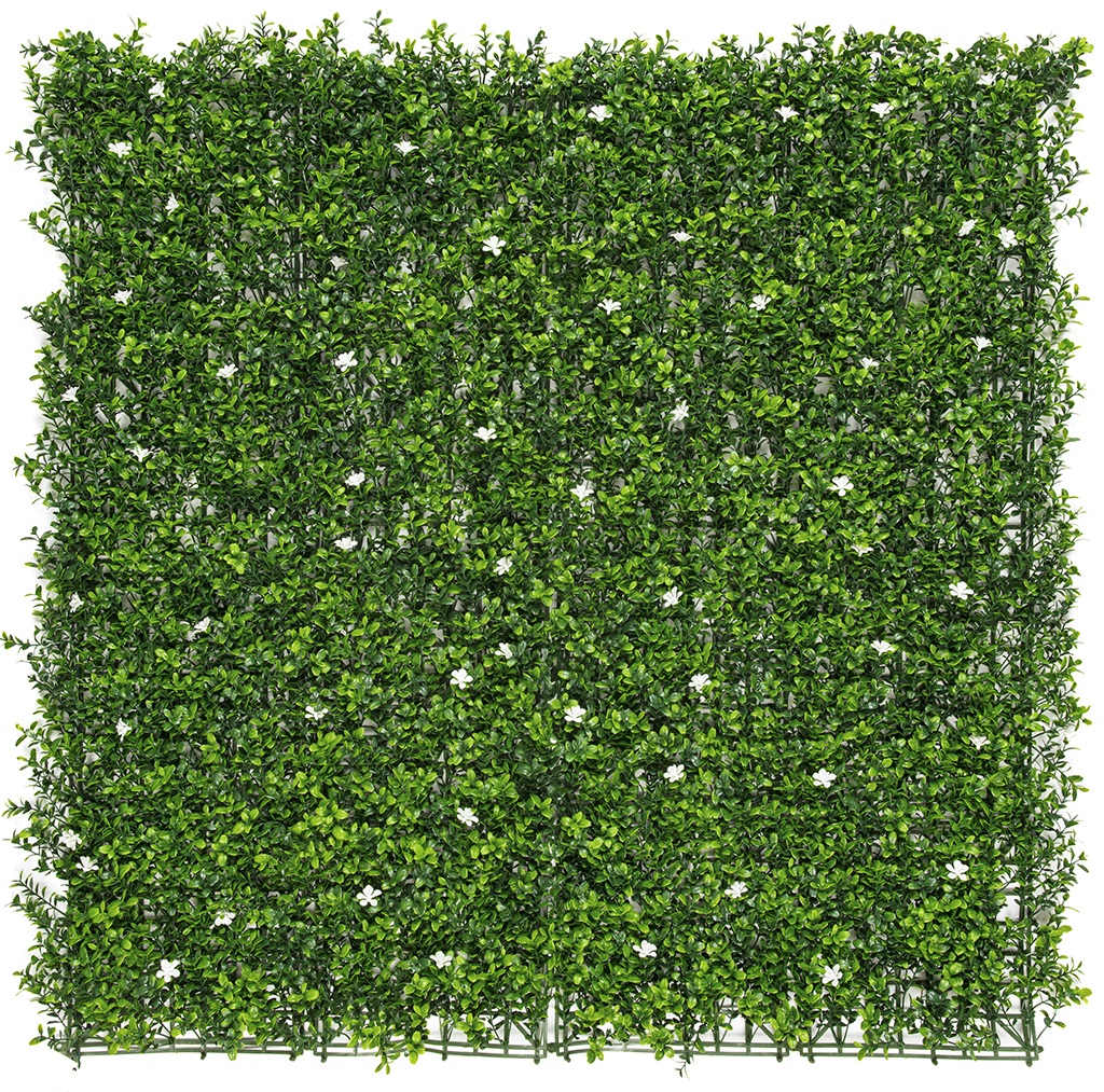 Green wall with Jasmine Vertical Jasmin 1x1 m