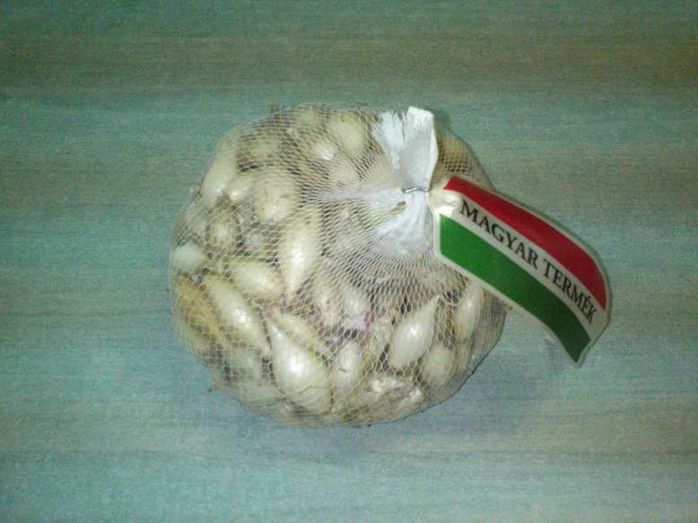 Dughagyma White onion 300 g