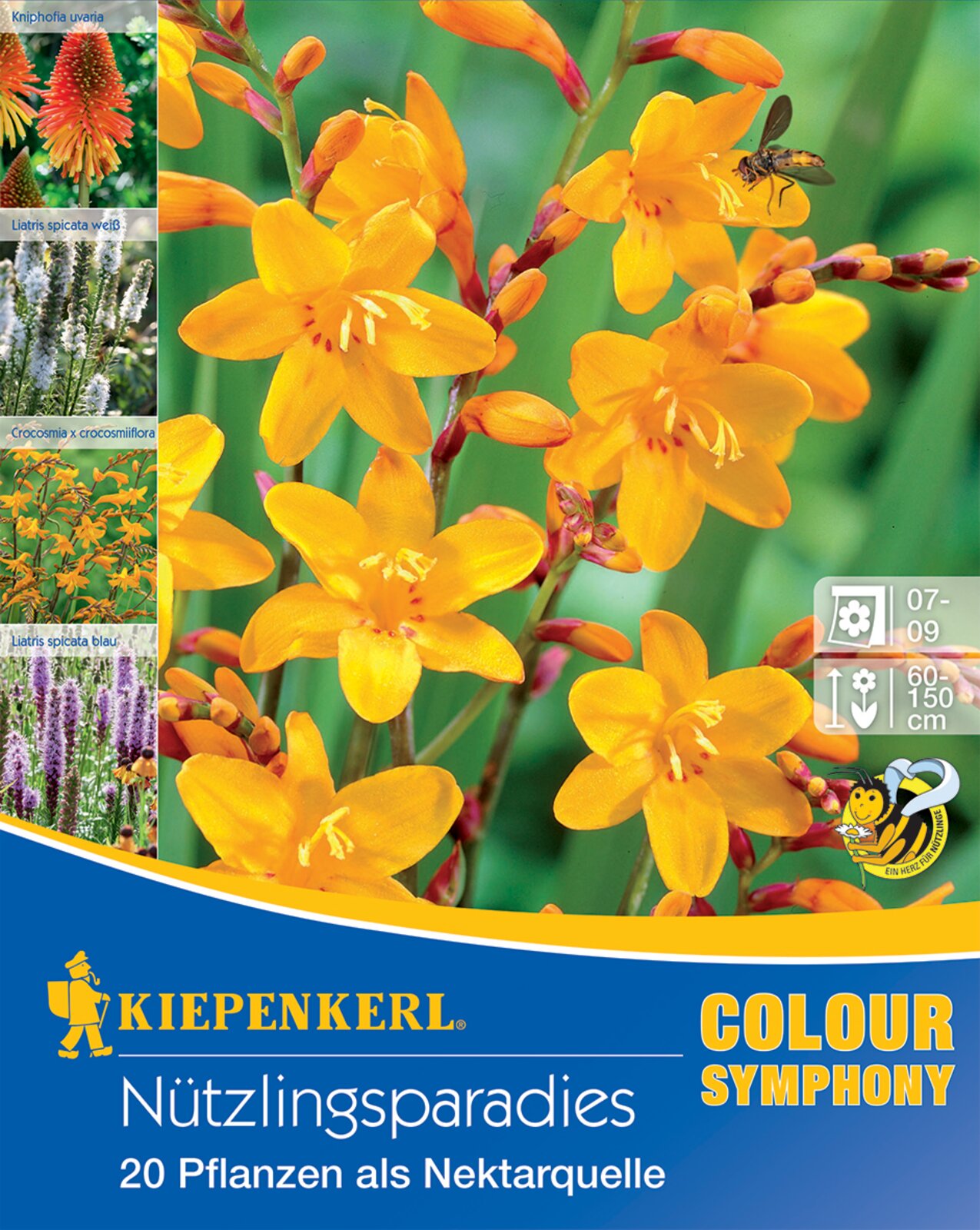 Virághagyma Hasznos rovarok kertje Kiepenkerl 20 db