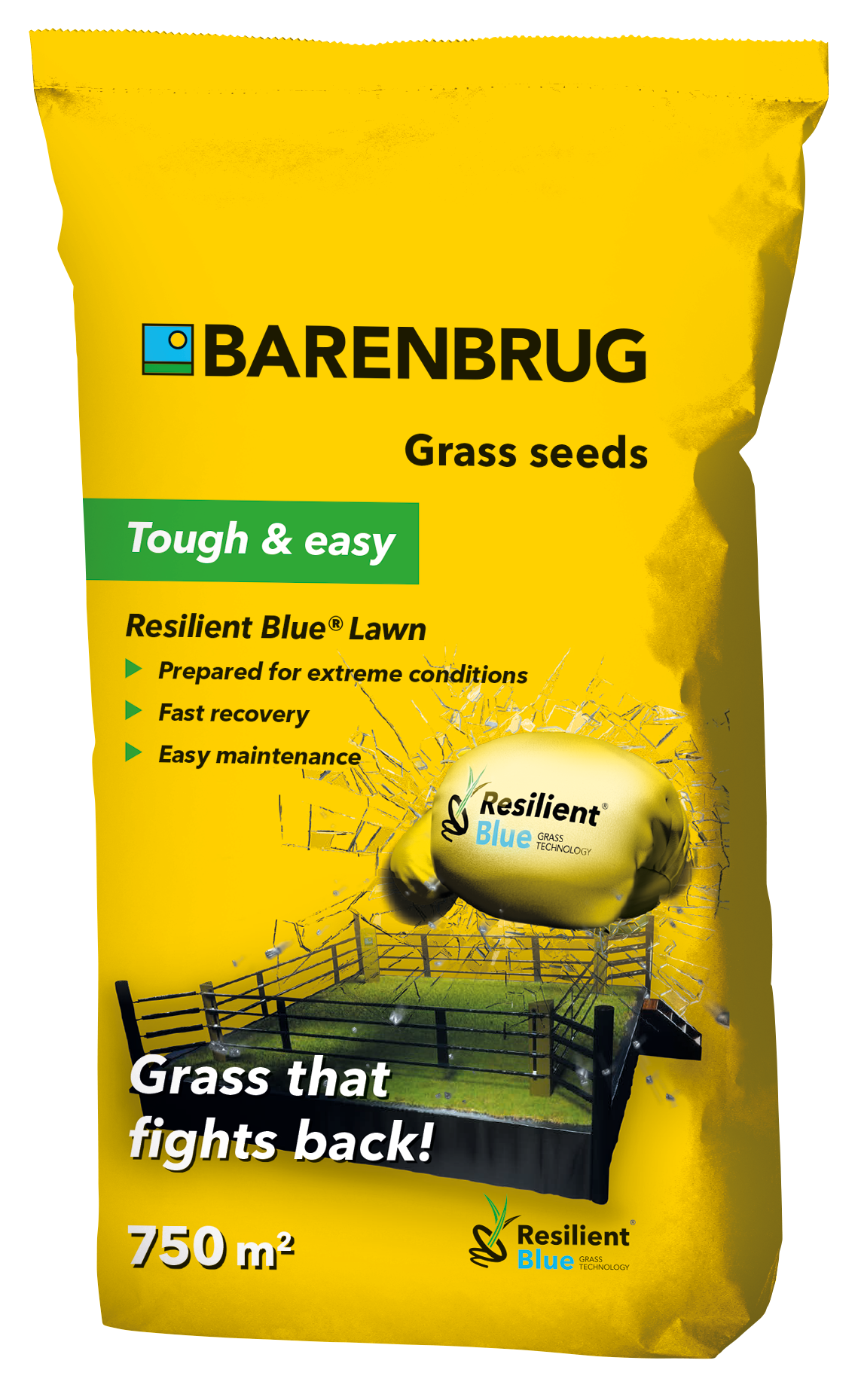 Grass seed Barenbrug Resilient Blue Lawn 15 kg