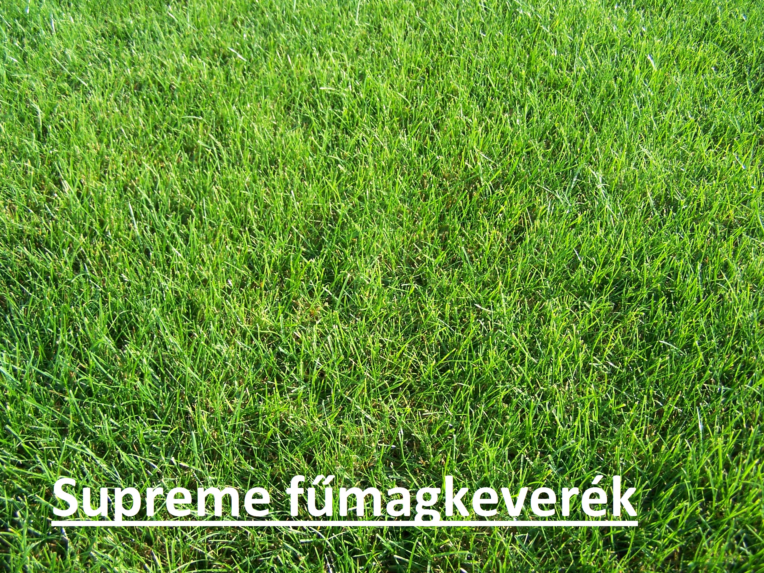 ICL Grass Seed Supreme 5 kg