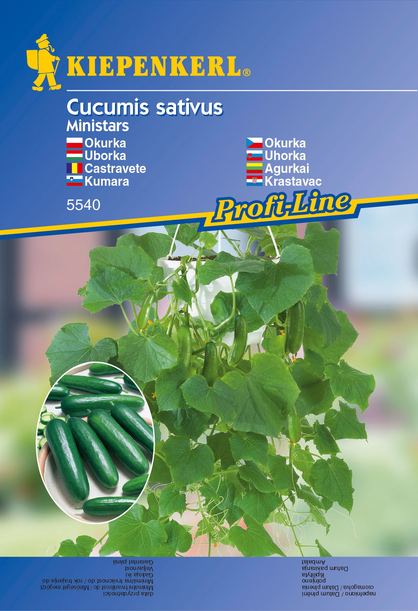 Cucumber salad for balcony Ministars Kiepenkerl 5 grains