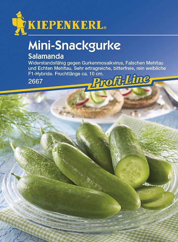 Mini snack cucumber Salamanda F1 Kiepenkerl