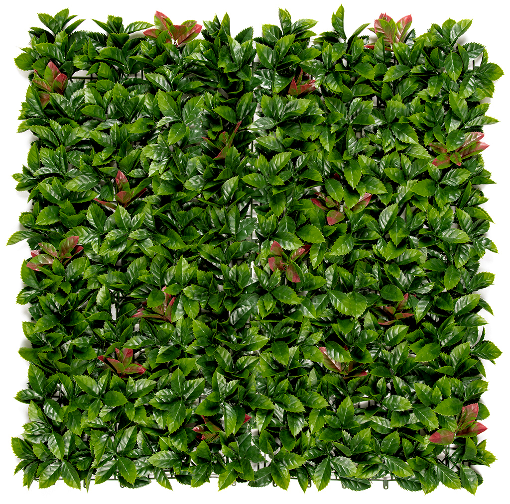 Green wall with red bean leaves Vertical Red Lauro 1x1 m