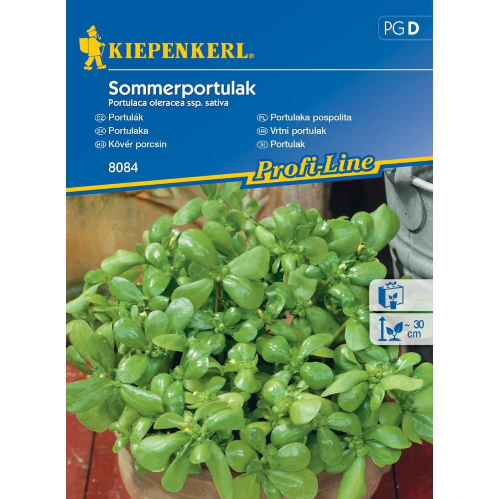 Porcini leaves Kiepenkerl approx. 150 seeds