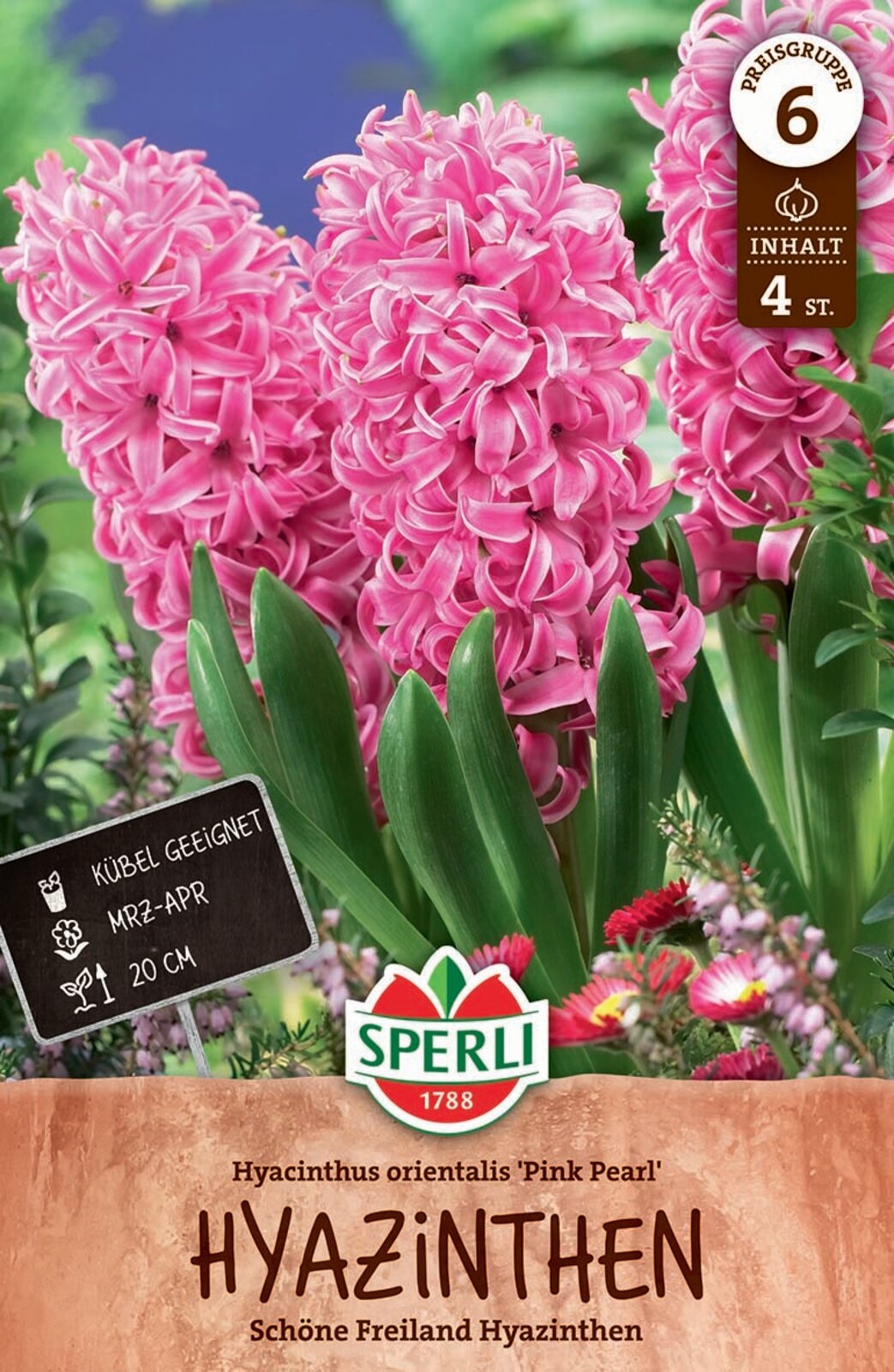 Virághagyma Jácint Pink Pearl 4 db Sperli