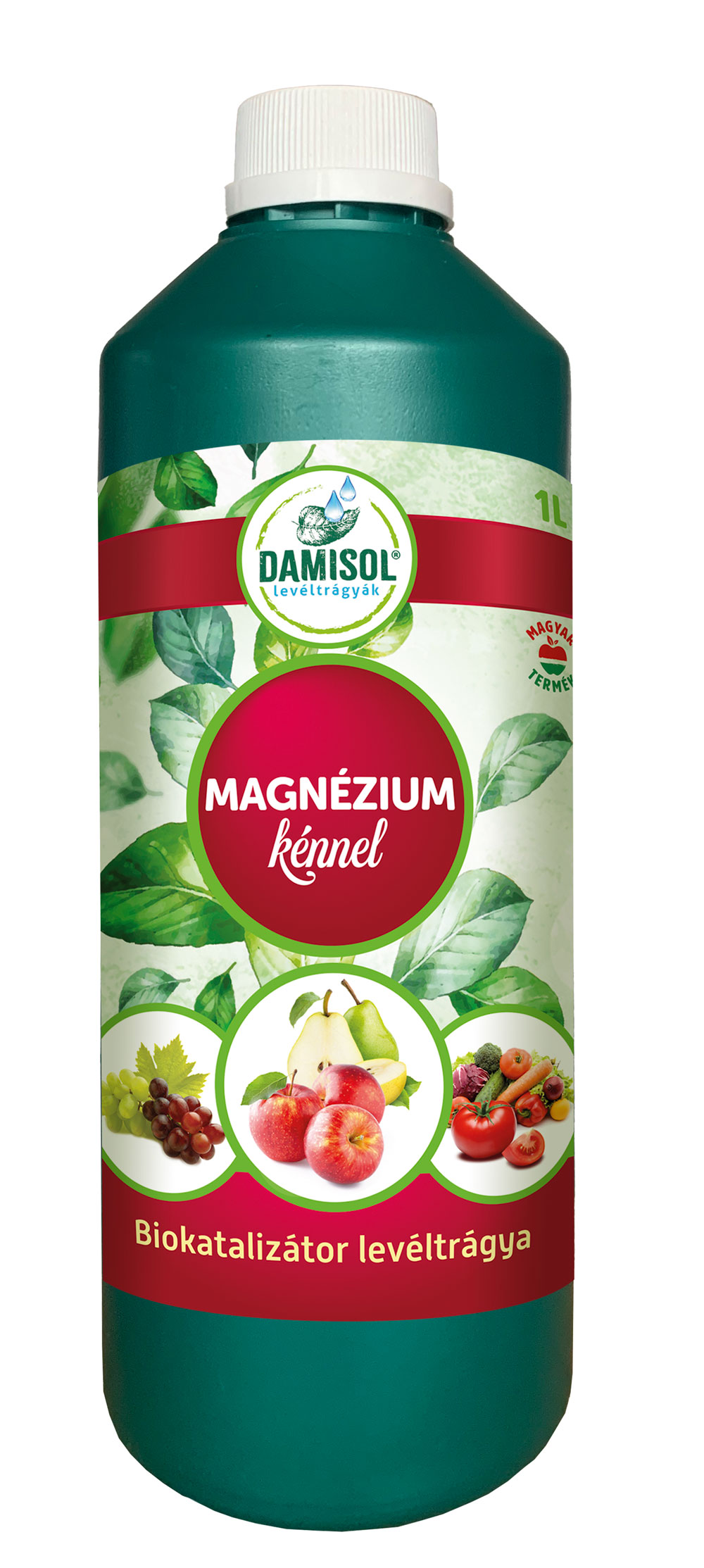 Damisol Magnézium 1 l