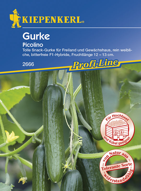 Mini-snack cucumber Picolino F1 5 seeds