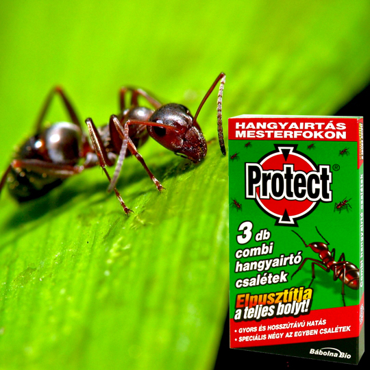 Protect hangyacsali combi 3 db-os