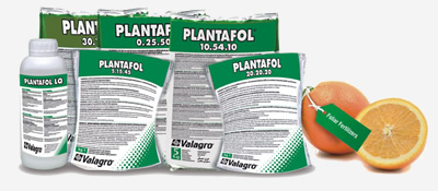Plantafol 20-20-20+TE 25 kg