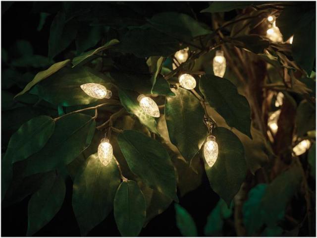 Festoon Gardman, 50 extra large bulbs, warm white 10.02 m