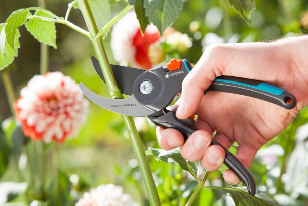 Secateurs M