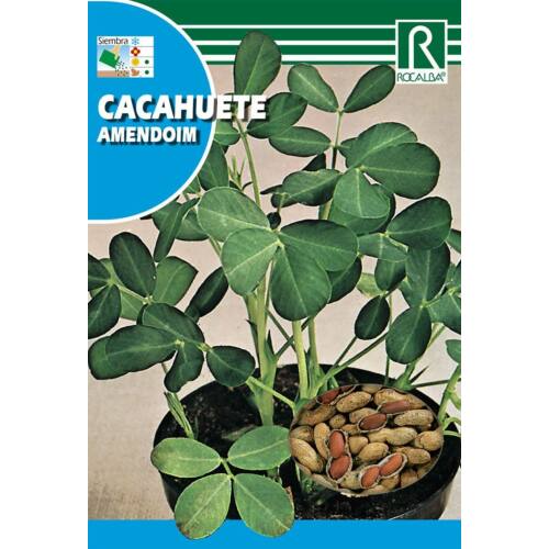 Földimogyoró (Cacahuete amendoim) 10g Rocalba