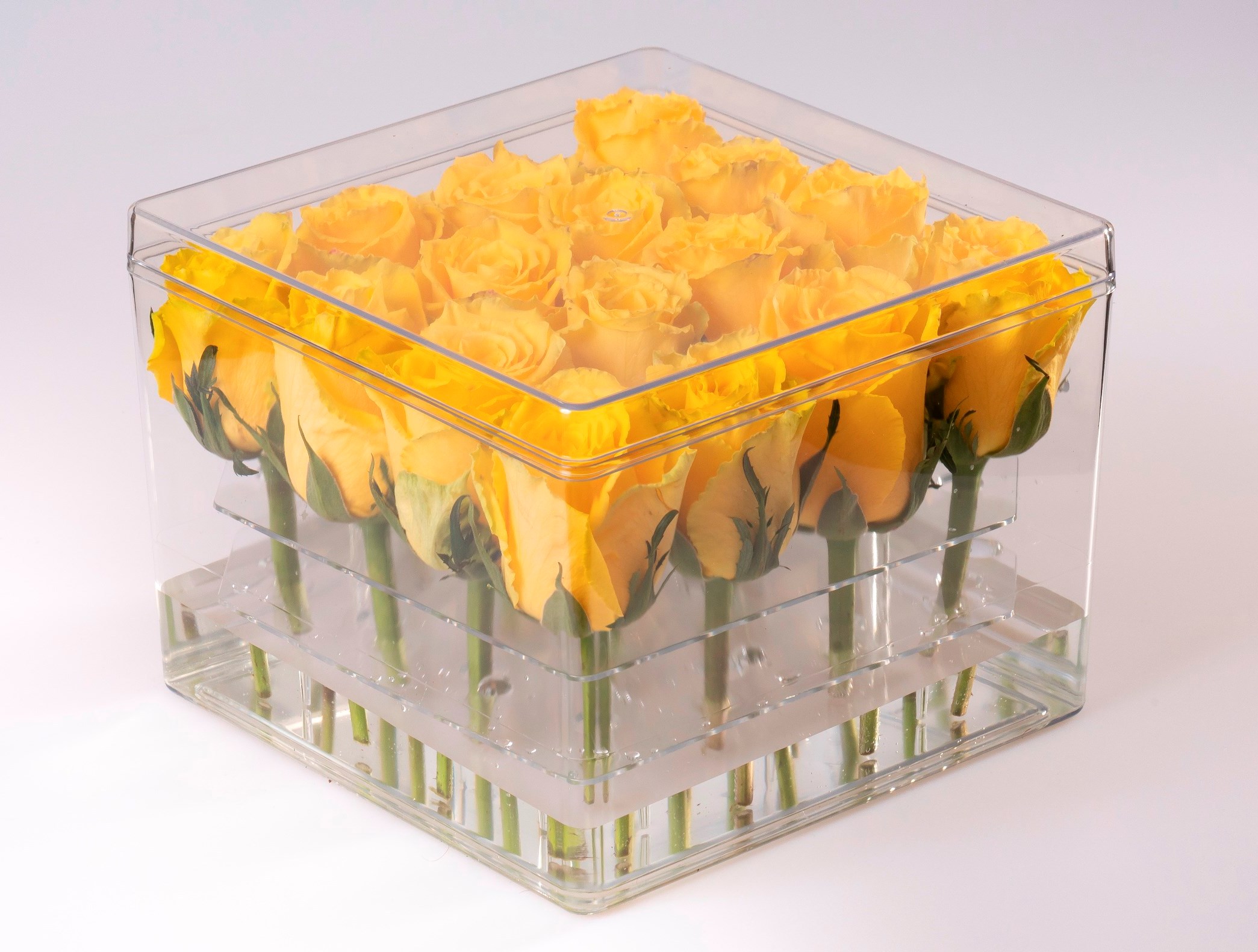 Plastic flower box 4x4 stems