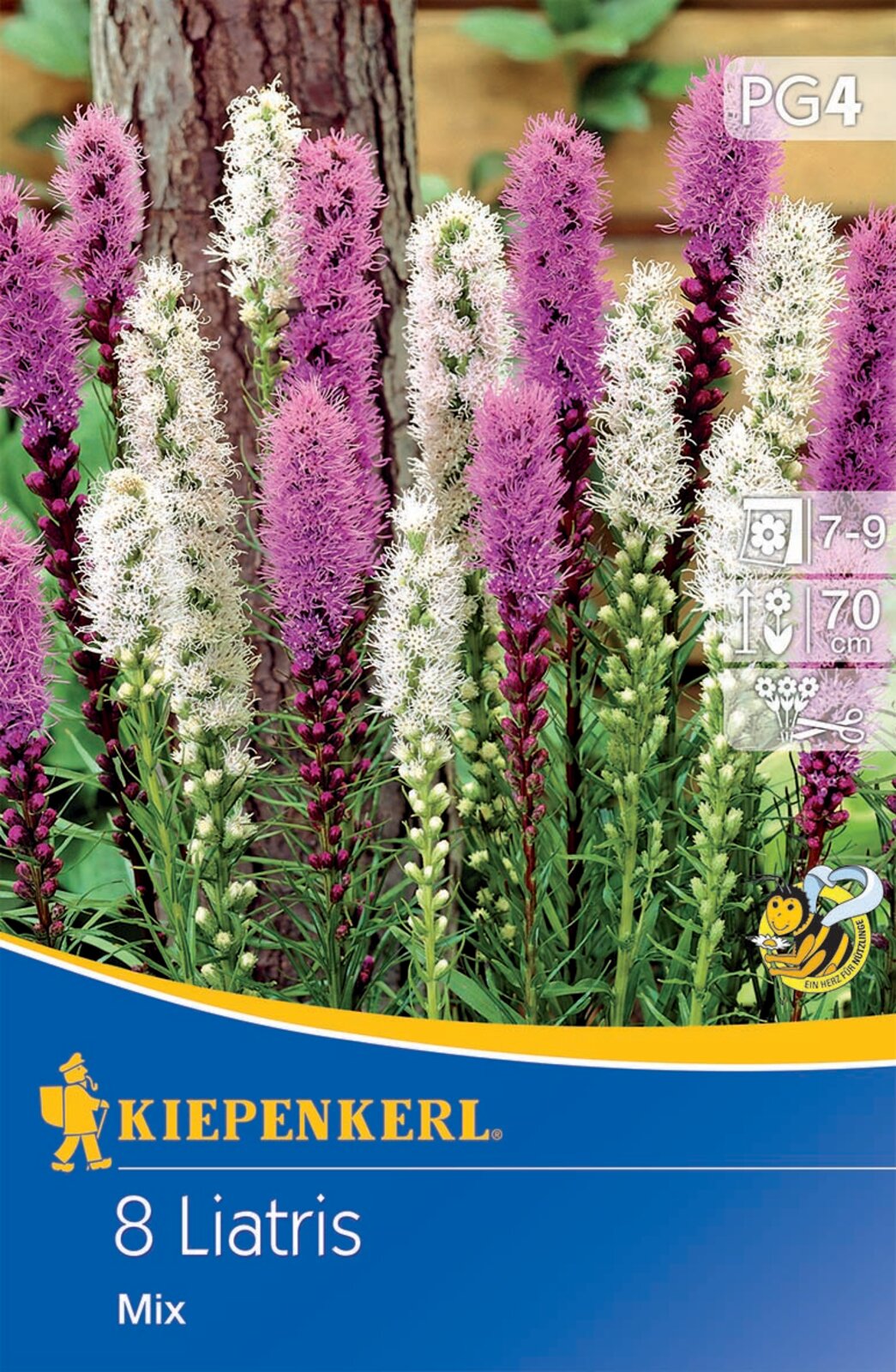 Flower Bulb Ornamental (Liatris) Mix Kiepenkerl 8 pcs