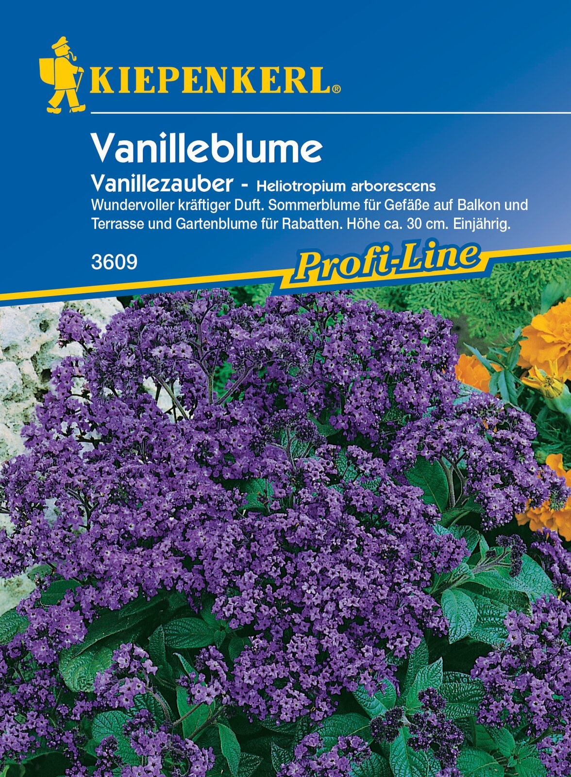 Vaníliavirág Vanillezauber Kiepenkerl