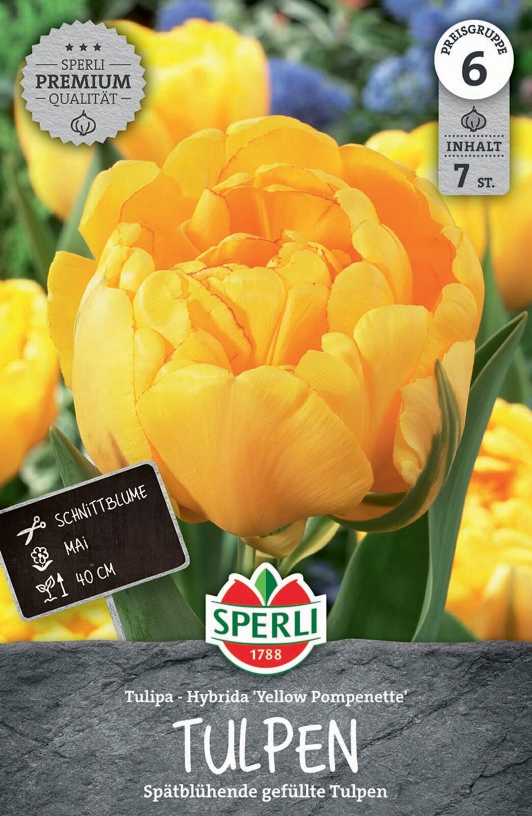 Virághagyma Tulipán teltvirágú Yellow Pompenette 7 db Sperli