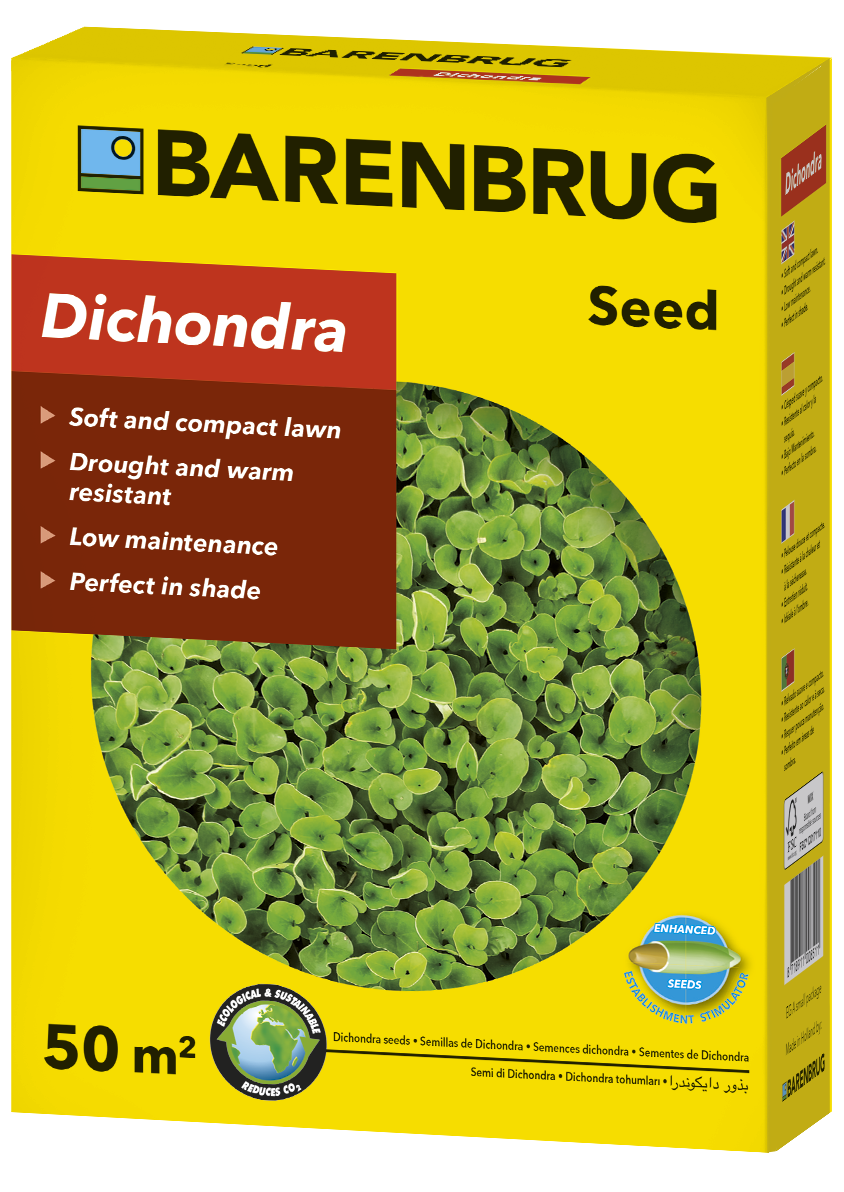 Groundcover green carpet-Dichondra repens Barenbrug 500 g