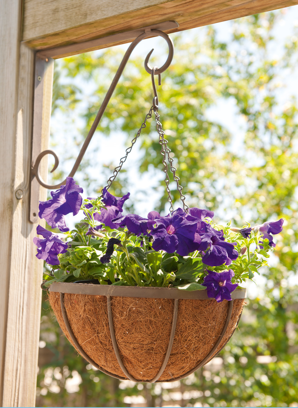 Hanging flower basket Flower Basket diameter 40 cm