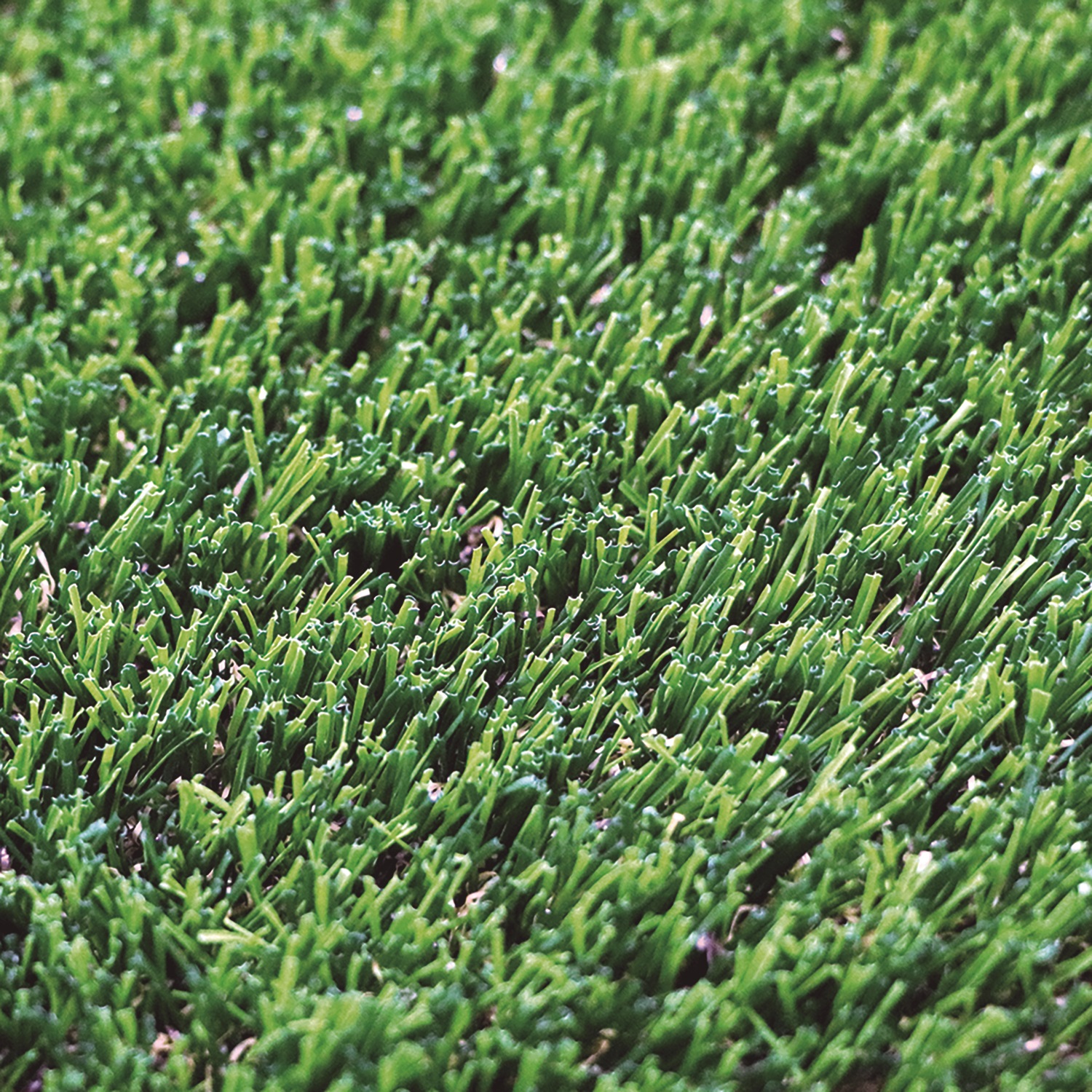 Artificial grass GREEN DENIA X-TRA 40 2x4 m 40 mm