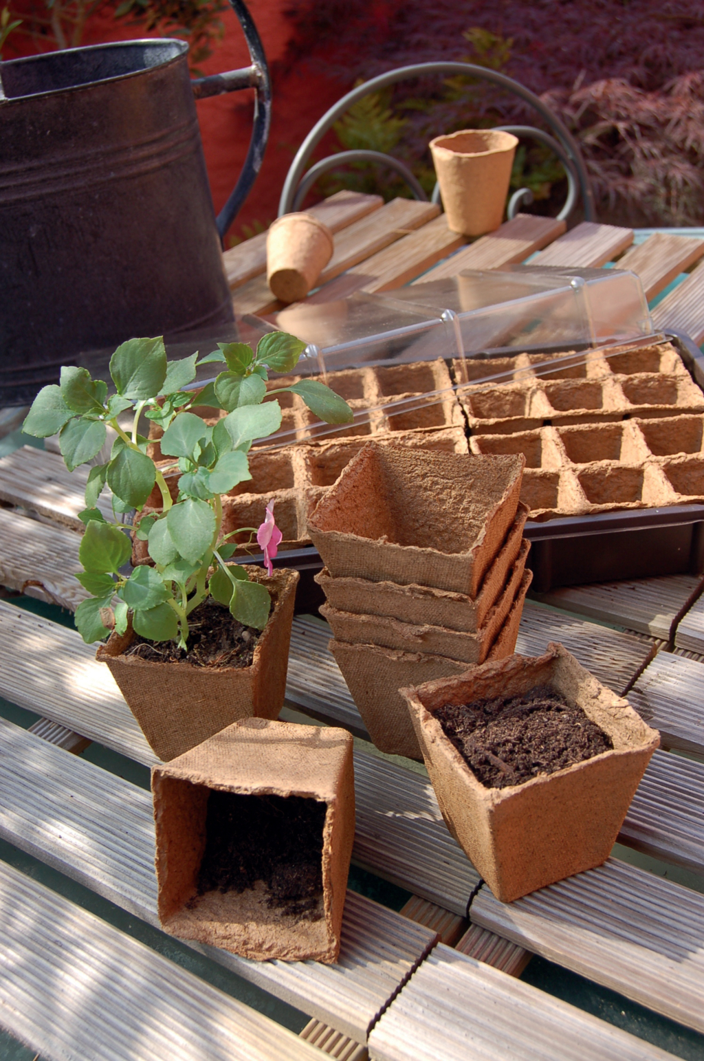 Peat pots "Growing pots" 6x6 cm 20 pcs