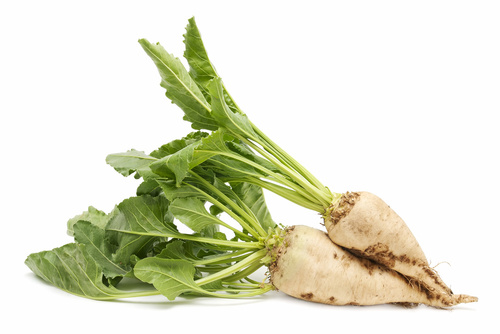 Sugar beet Teri 100g