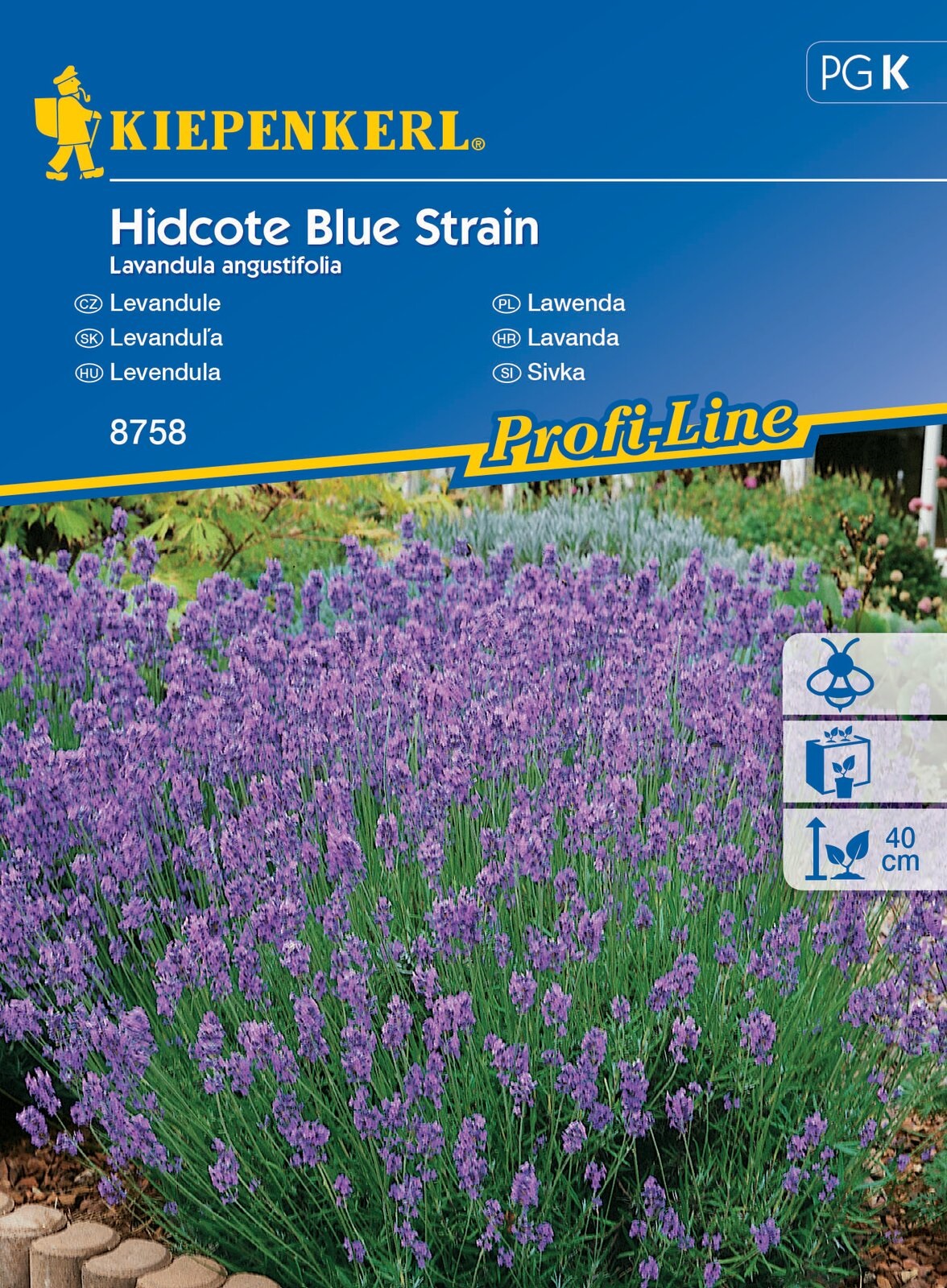 Levendula Hidcote Blue Strain 40 szem Kiepenkerl