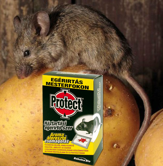 xProtect egérirtó csalétek 5x25g