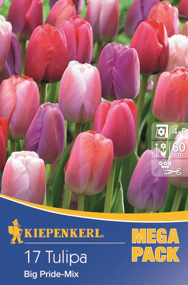 Virághagyma tulipán Big Pride Megapack 17 db